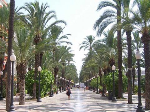 Enforex Alicante